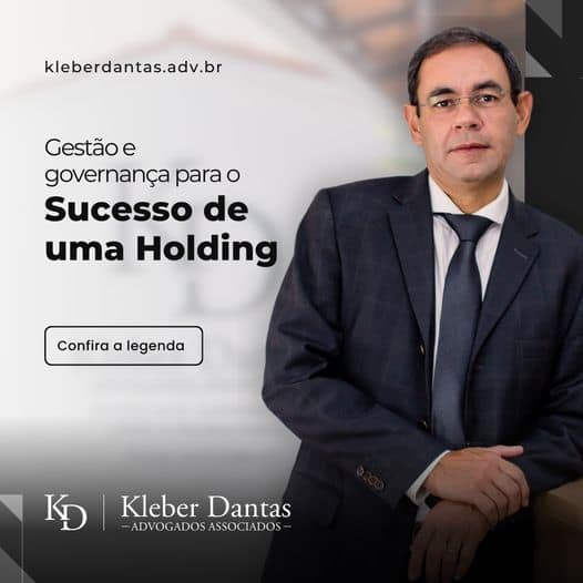Gestão e governança par o sucesso de uma holding